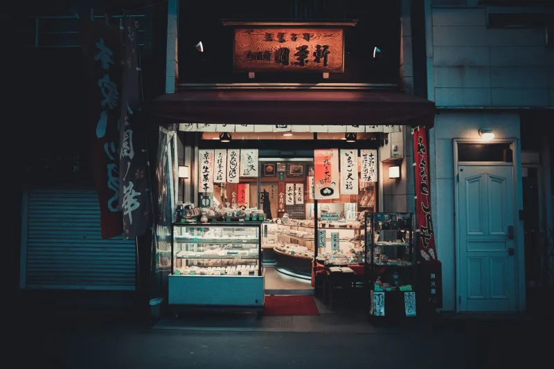Skip Tokyo, Head North: Why Serious Collectors Are Raiding Regional Japanese Cities for Media Gold